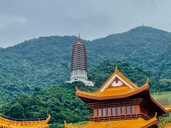 -深圳仙湖植物园