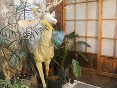 -边渡咖啡烘焙店(昙华林店)