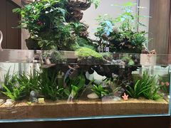 -阿莉餐厅(枣阳路店)