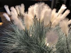 -稻鲜记潮汕砂锅粥