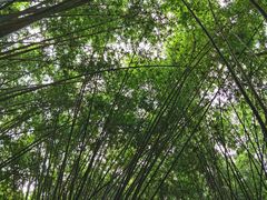 -英西峰林·洞天仙境