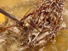 -绿野仙踪·印象(香樟名都店)