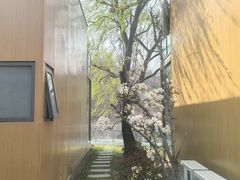 -黄花溪