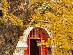 -北京石刻艺术博物馆(五塔寺)