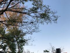 -广富林宰相府酒店·水云间