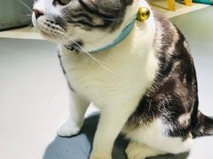 -小时光咖啡馆(开森度假森林店)