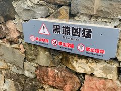 -都江堰中华大熊猫苑