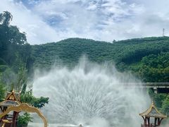 -西双版纳原始森林公园