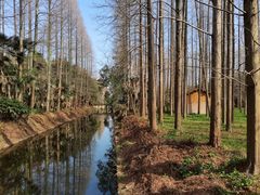 -东平国家森林公园