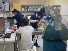 -谐和益家动物医院·免疫绝育·血液透析·宠保定点医院(高新伊藤分院)