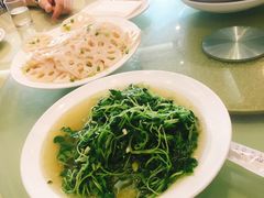 -旅宁大酒店