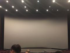 -首都电影院(天津店 中国巨幕)