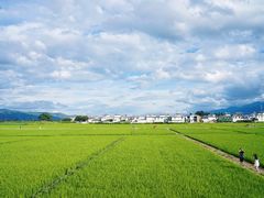 -喜林苑·稻田餐厅(品相府店)