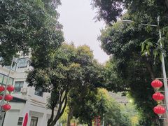 -珠海圆明新园