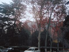 -西安市长乐公园