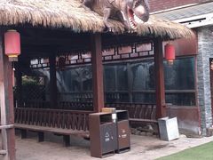 -呀路古热带植物园