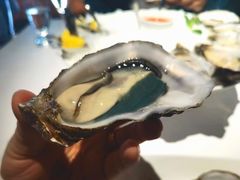 生蚝-Oyster Talks 四度蚝法餐厅