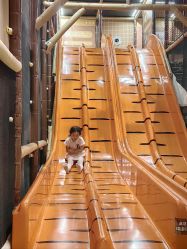 -卡通尼·Safari非洲探索乐园·生日会(金桥国际商业广场店)