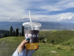 -新疆那拉提国家旅游度假区