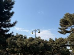 -北陵公园