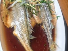 -黔蘑菇四季餐厅(观山湖店)