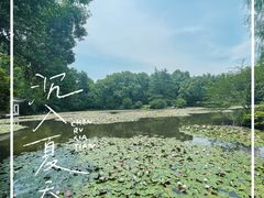 -杭州植物园