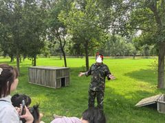 -北京京卫宠物寄养训练中心