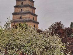 -大雁塔北广场音乐喷泉
