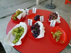 -马陆小张葡萄园农家乐