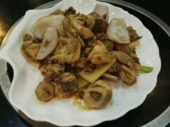 鸡-豪华脆肉鲩