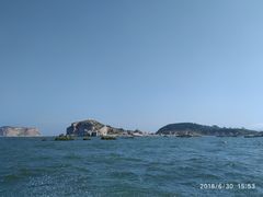 -长岛万鸟岛