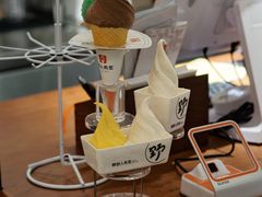 -野人先生Gelato(上海长宁龙之梦店)