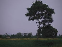-良渚古城遗址公园