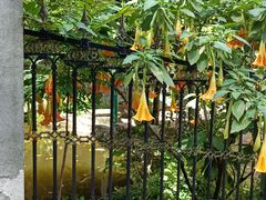 -南山植物园