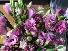 -秦美花卉(天朗·莱茵小城2期店)