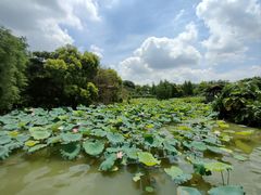 -海珠湖公园