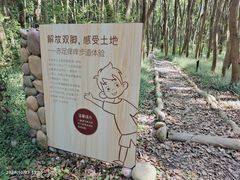 -同里国家湿地公园