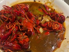 -杨氏青龙虾·羊蝎子(托乐嘉店)