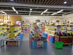 -众客隆+儿童王国·少儿篮球乒乓球培训(新华路店)