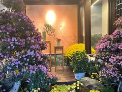 -杭州植物园