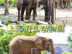 -上海野生动物园