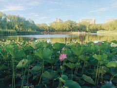-满都海公园