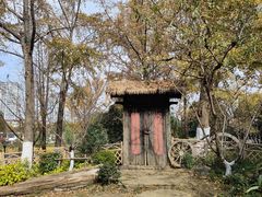 -圩墩遗址公园