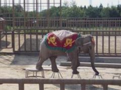 -太原动物园