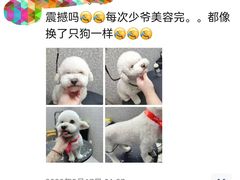 -宠物家(角门东店)