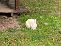 -峡谷浮石林景区