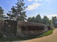 -东郊湿地公园