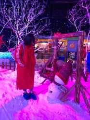 -圣名游乐城冰雪大世界