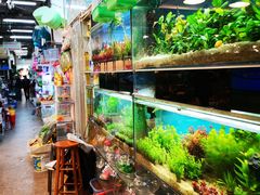 -双季花艺园艺市场(浦东店)