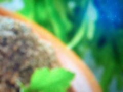 -鹤桥风月(千日前店)